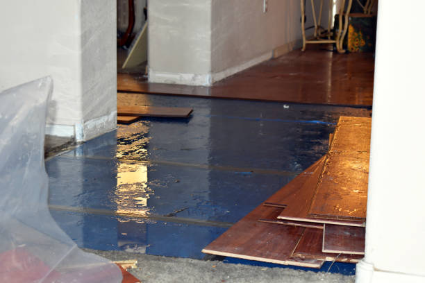 Professional Water Damage technician working in Ledbetter, TX